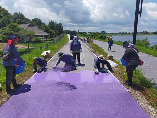 คัลเลอร์เฟล็กซ์ คัลเลอร์เฟล็กซ์